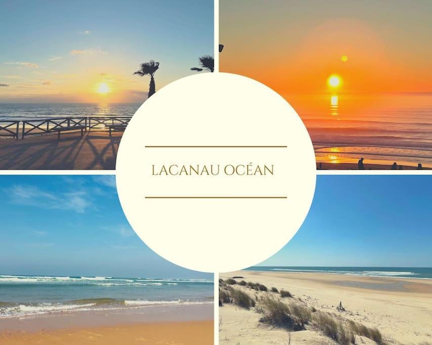 Superbe Vue A 180° Sur L'Ocean Apartment ลากาโน ภายนอก รูปภาพ